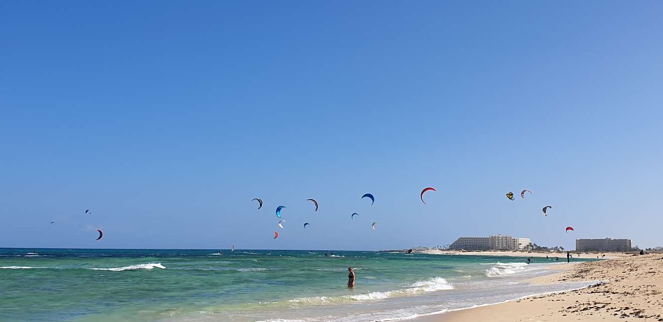 FUE 8 20210318_165017.jpg